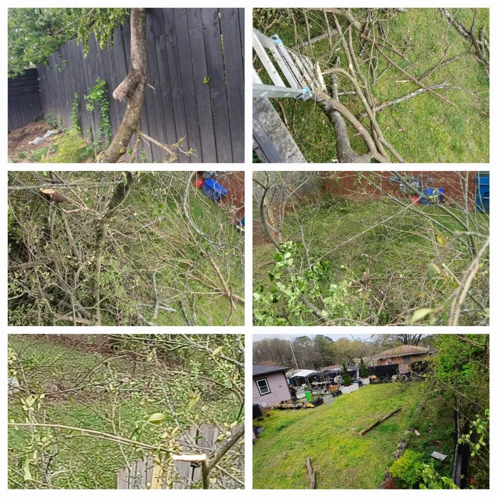 Slide of The Peoples Champ