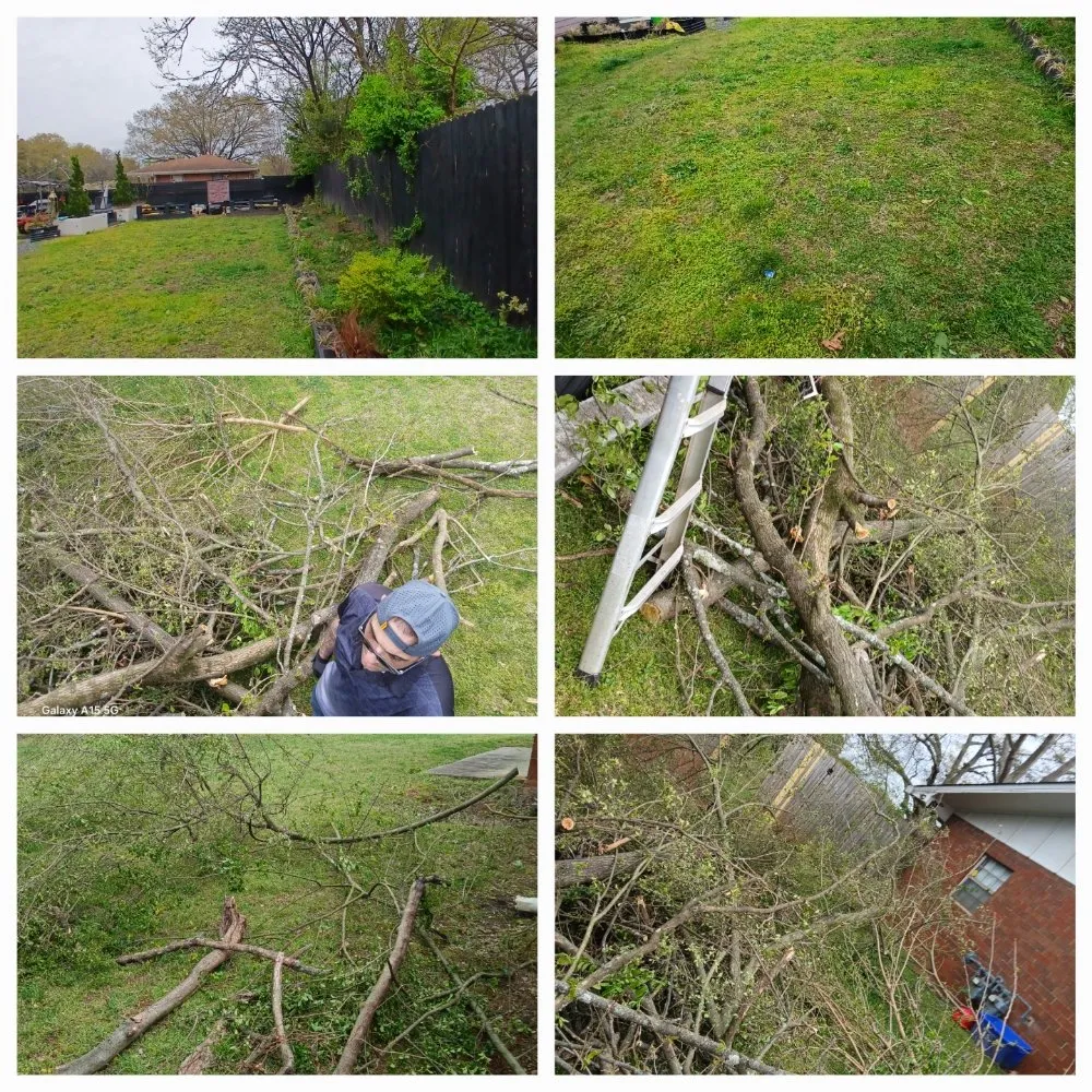 Slide of The Peoples Champ