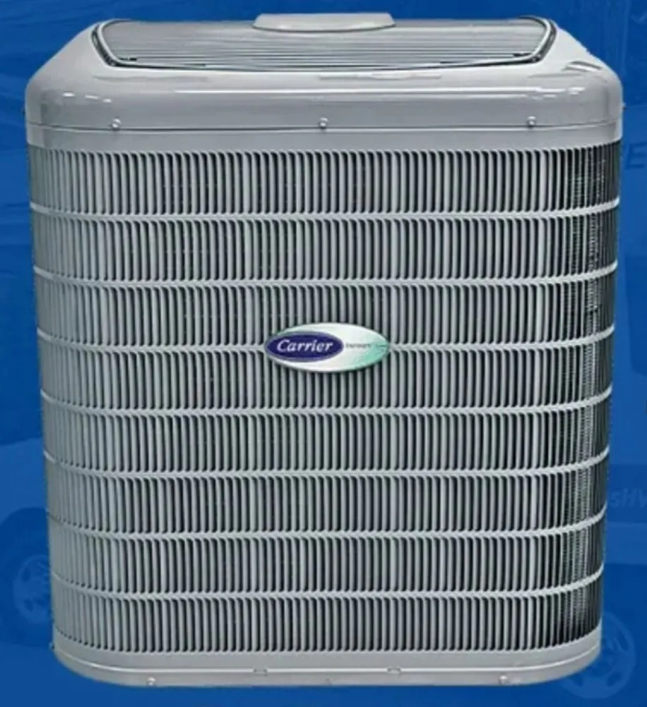 Slide of The Peoples Champ