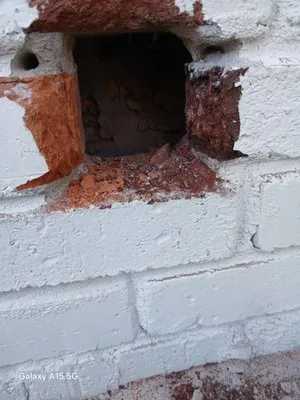 The Peoples Champ Logo