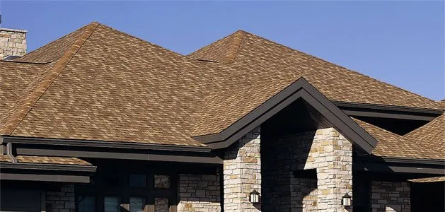 Slide of The Phoenix Group