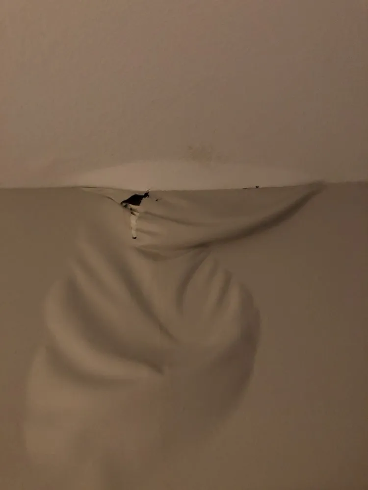 Slide of The Right Choice