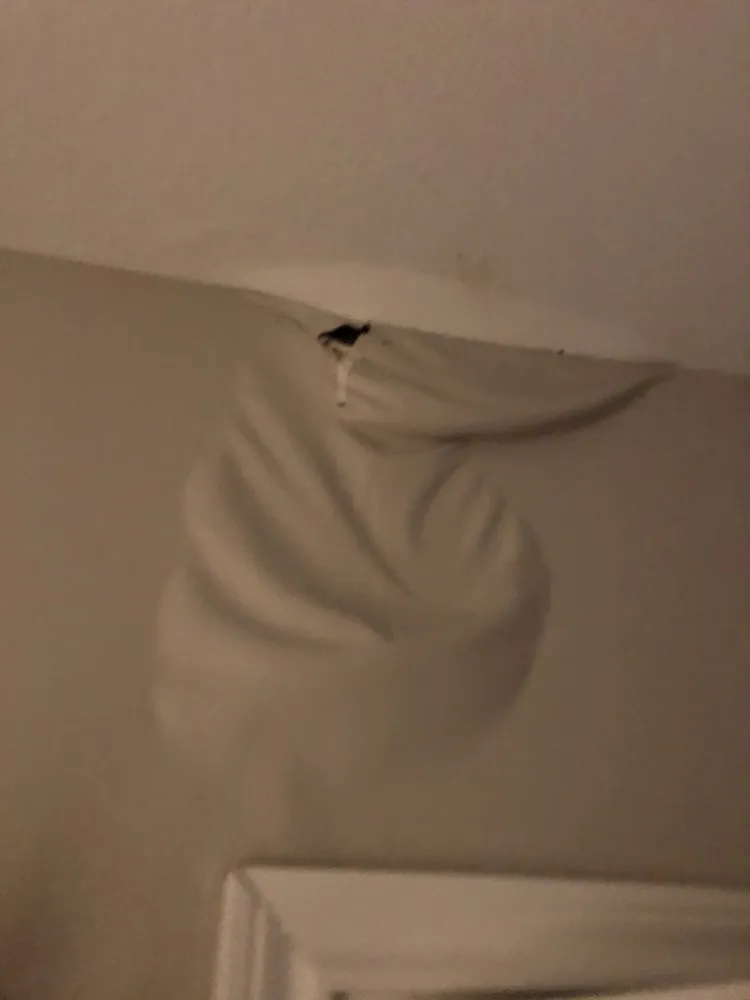 Slide of The Right Choice