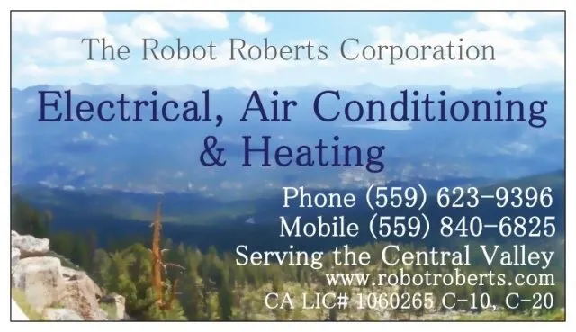 Slide of The Robot Roberts