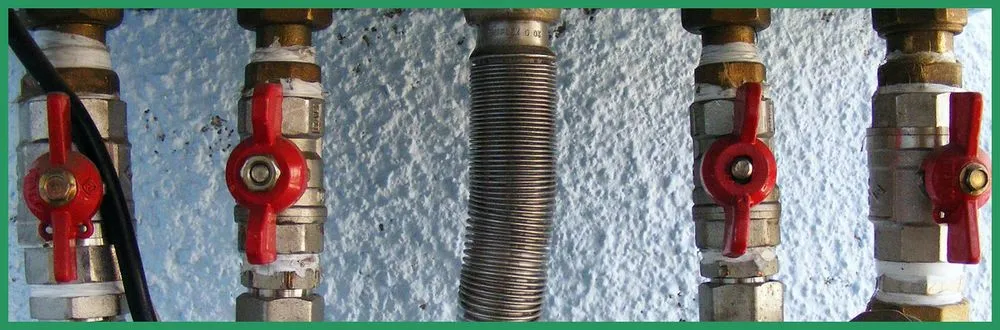 Slide of The Robot Roberts