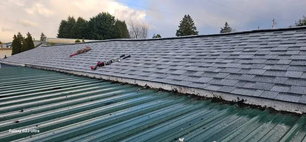 The Roof Doctor