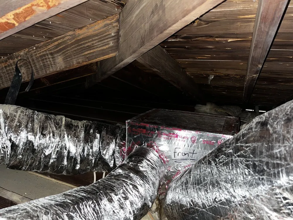 Certified air conditioning tune-up in St. Petersburg, FL - The Service Pros