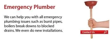 Slide of The Snake Guys