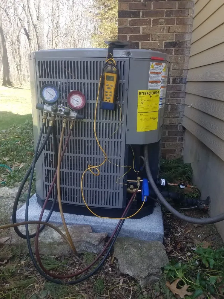 Slide of The Tin Man