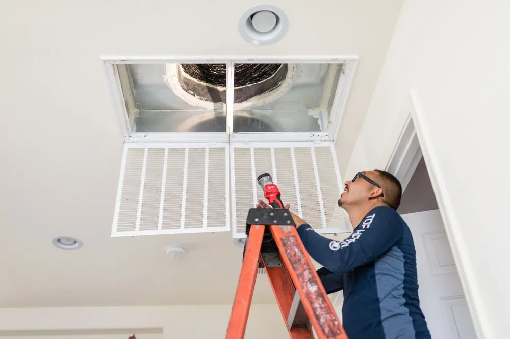 Slide of The Top Hatter