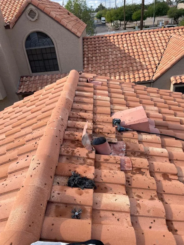 Slide of The Top Hatter