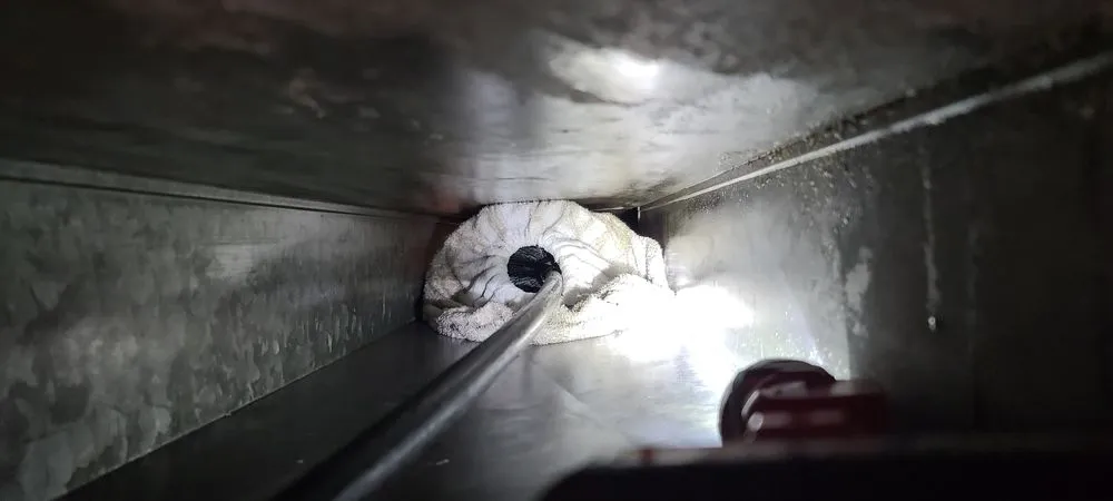 Slide of The Top Hatter