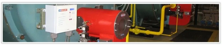 Slide of The Wilkinson Companies