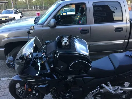 Thermal Dynamics Logo