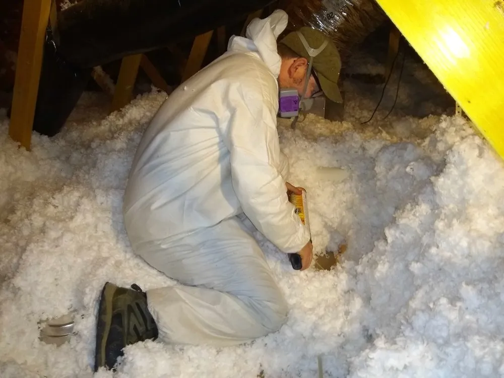 Slide of This Efficient House