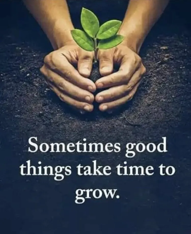 Top-rated furnace service in Elizabeth, IN by Thomas Heating and Cooling