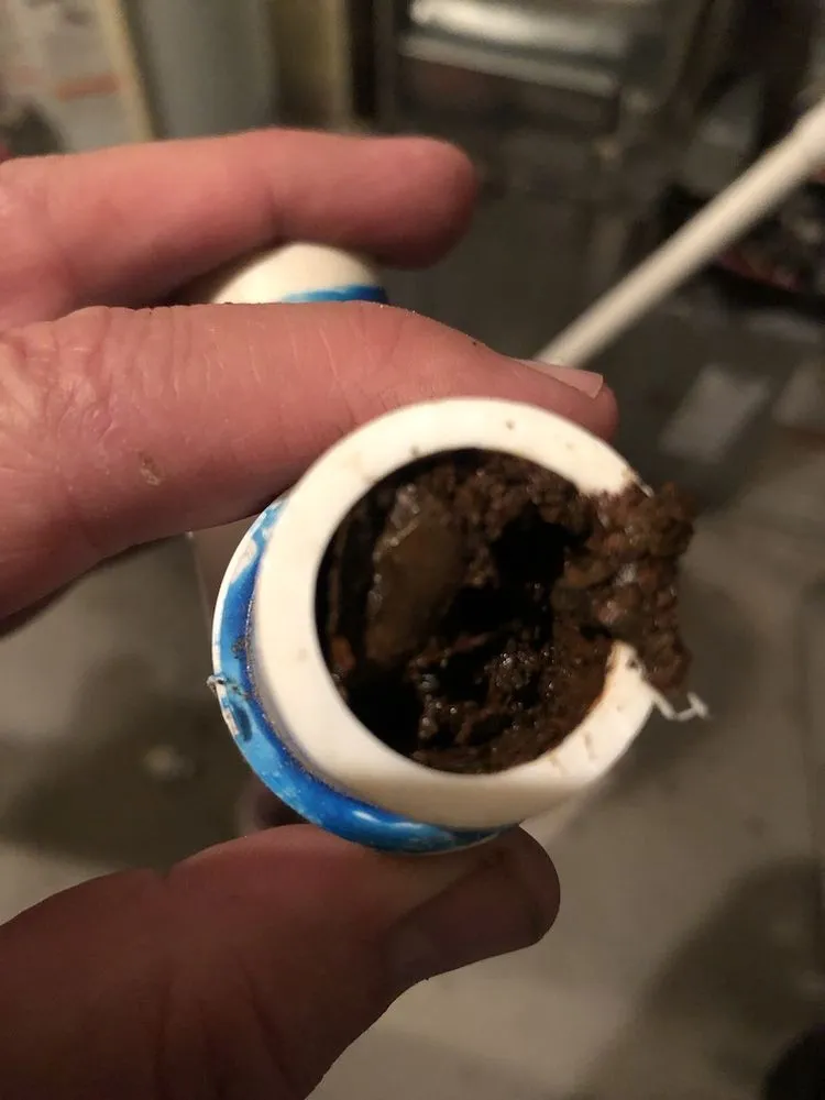 Slide of Thompson's Comfort Connection