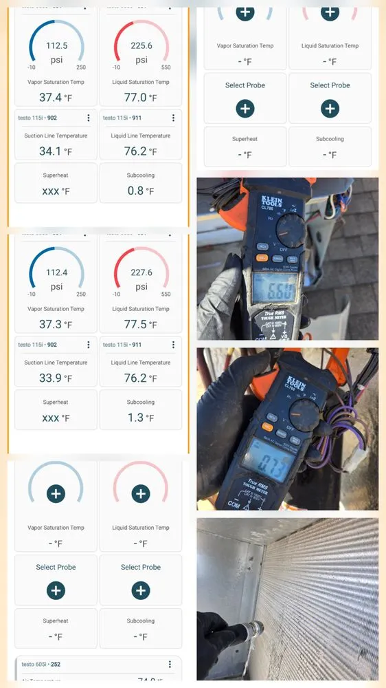 Slide of Thorough Bred AC