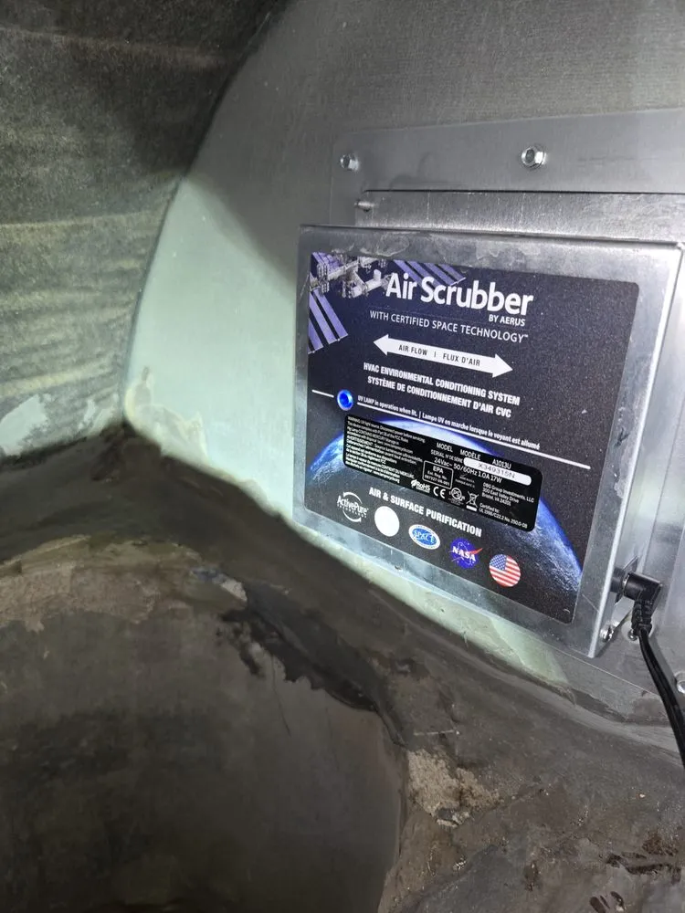 Slide of Thorough Bred AC