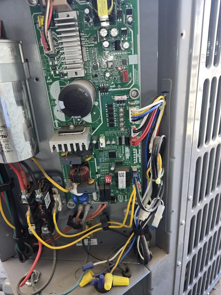 Slide of Thorough Bred AC