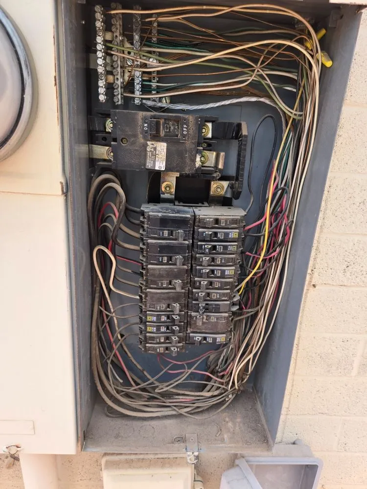 Slide of Thorough Bred AC