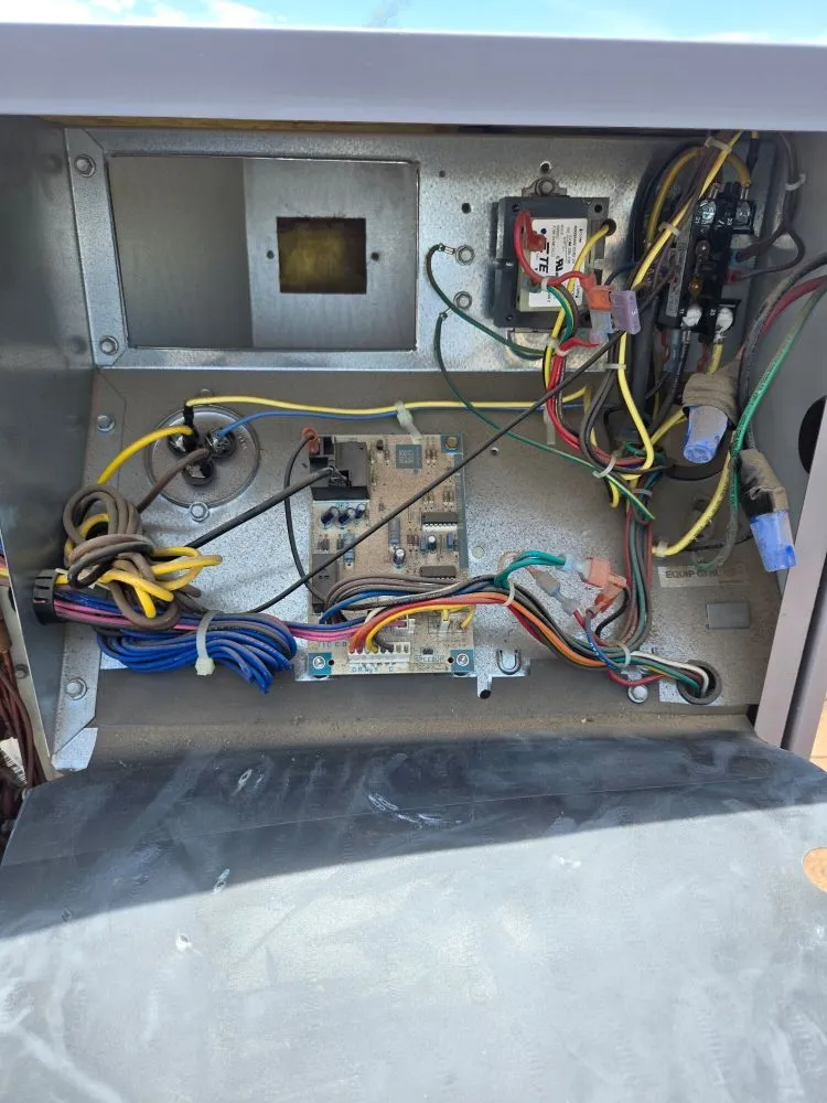 Slide of Thorough Bred AC