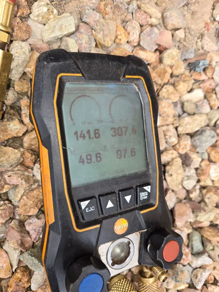 Slide of Thorough Bred AC