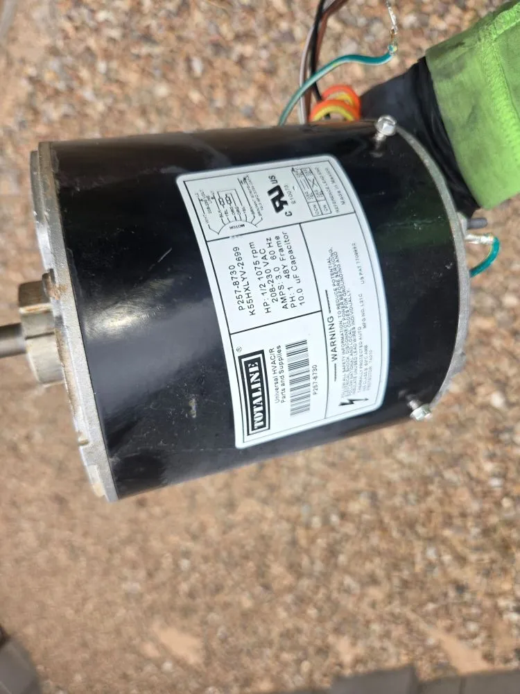 Slide of Thorough Bred AC