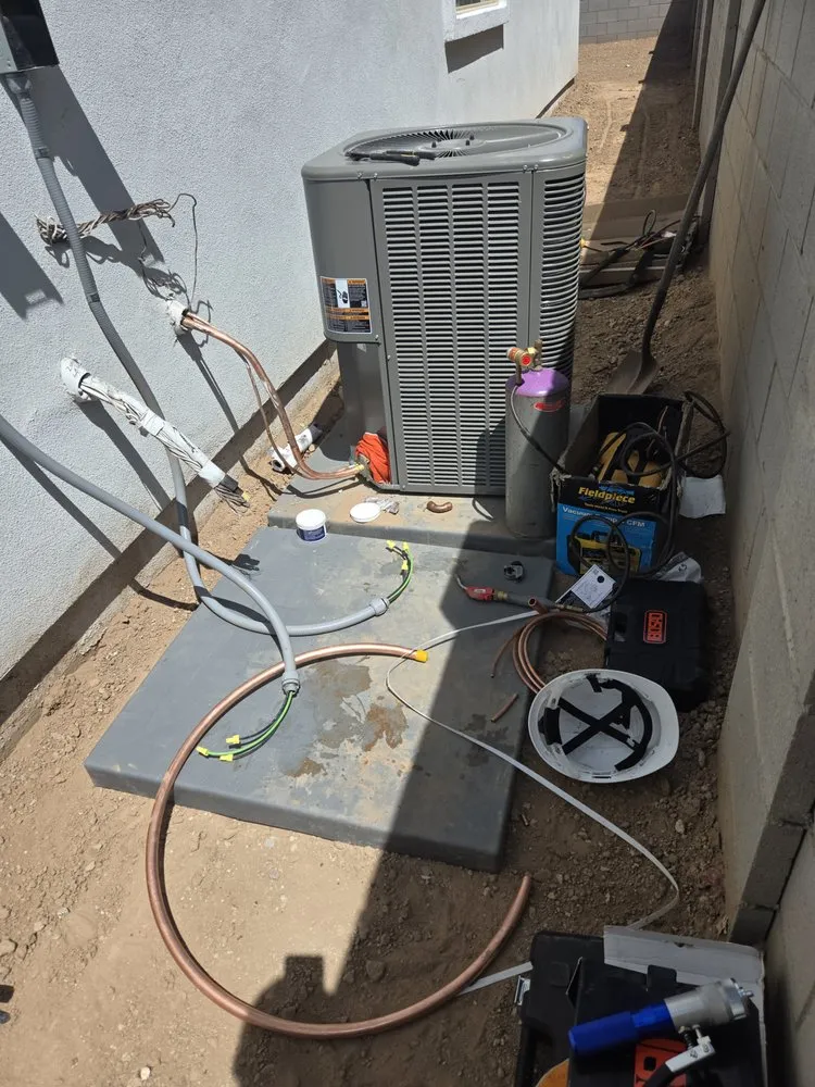 Slide of Thorough Bred AC