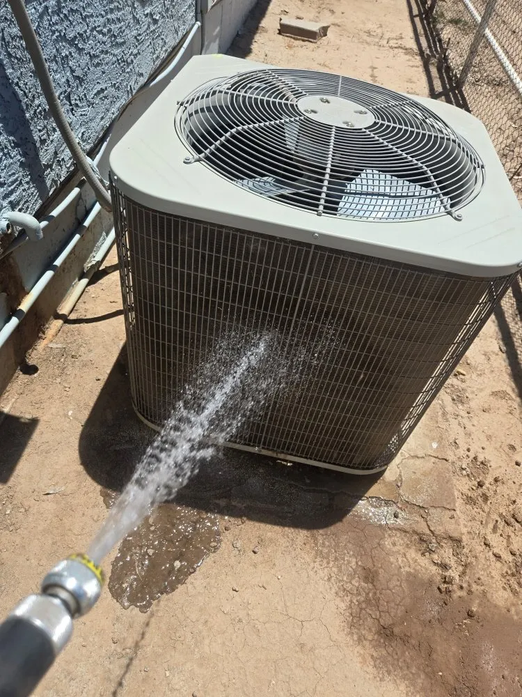 Slide of Thorough Bred AC