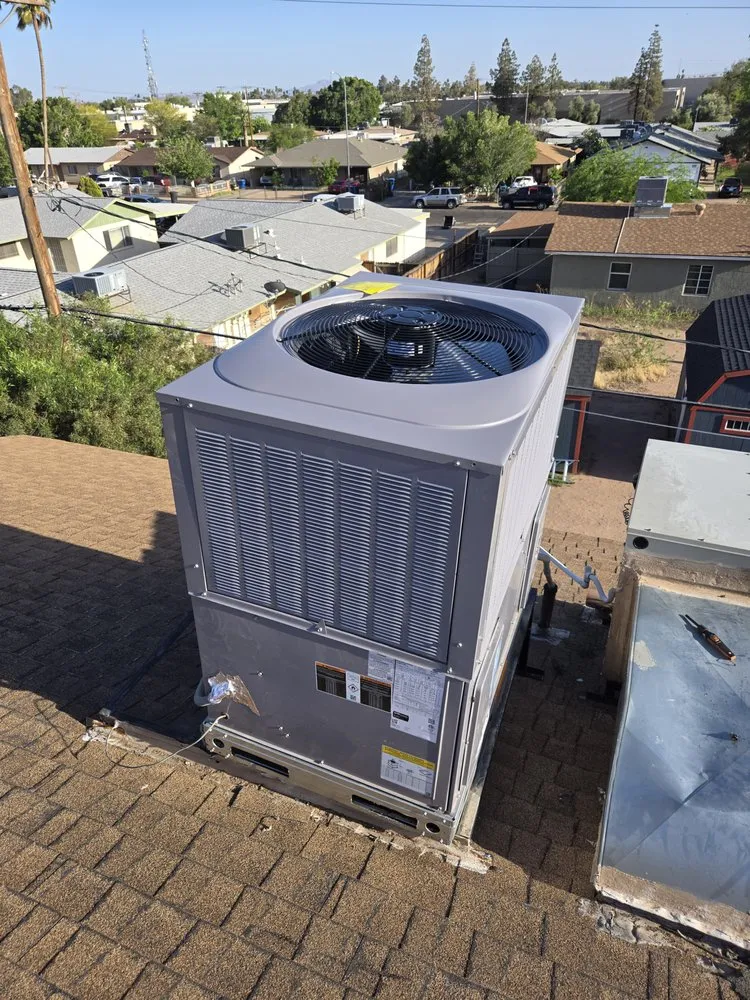 Slide of Thorough Bred AC