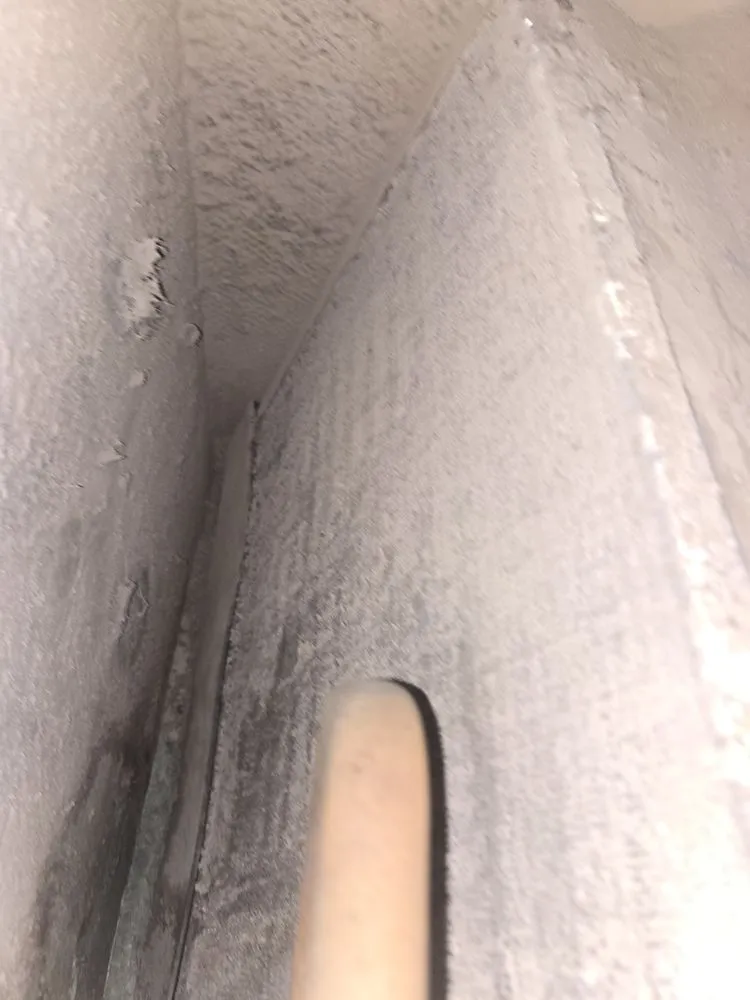 Slide of Thorough Bred AC