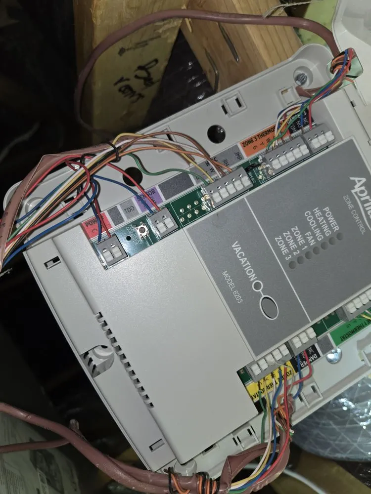 Slide of Thorough Bred AC