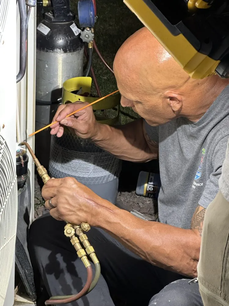 Slide of Three Little Birds