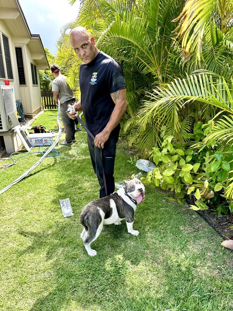 Slide of Three Little Birds