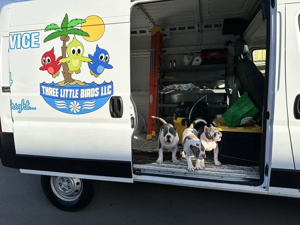 Slide of Three Little Birds