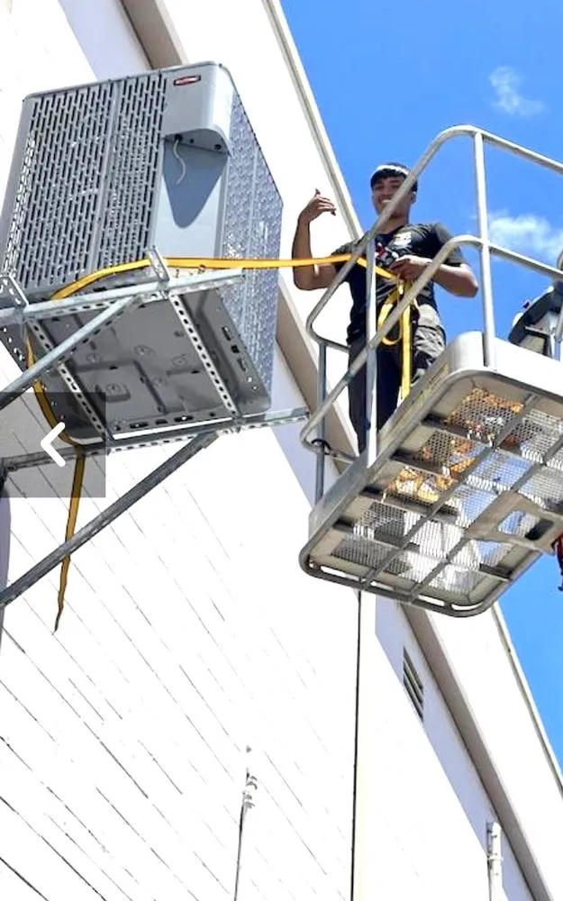 Slide of Three Little Birds