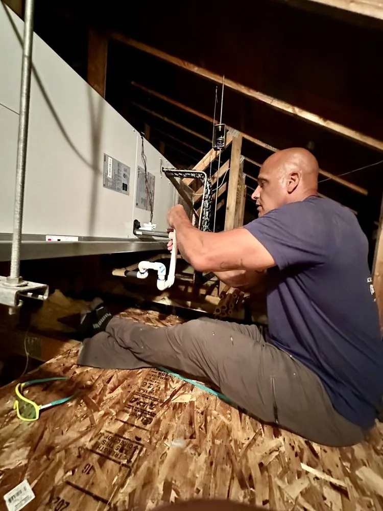 Slide of Three Little Birds