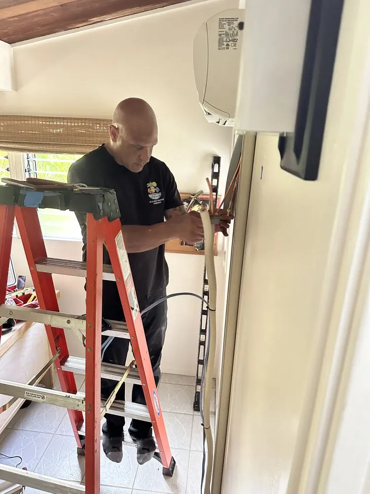 Slide of Three Little Birds