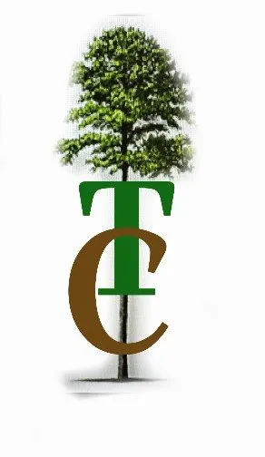 Slide of Timber Creek Services