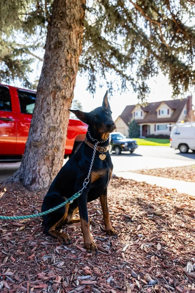 Slide of Tin Man Heating