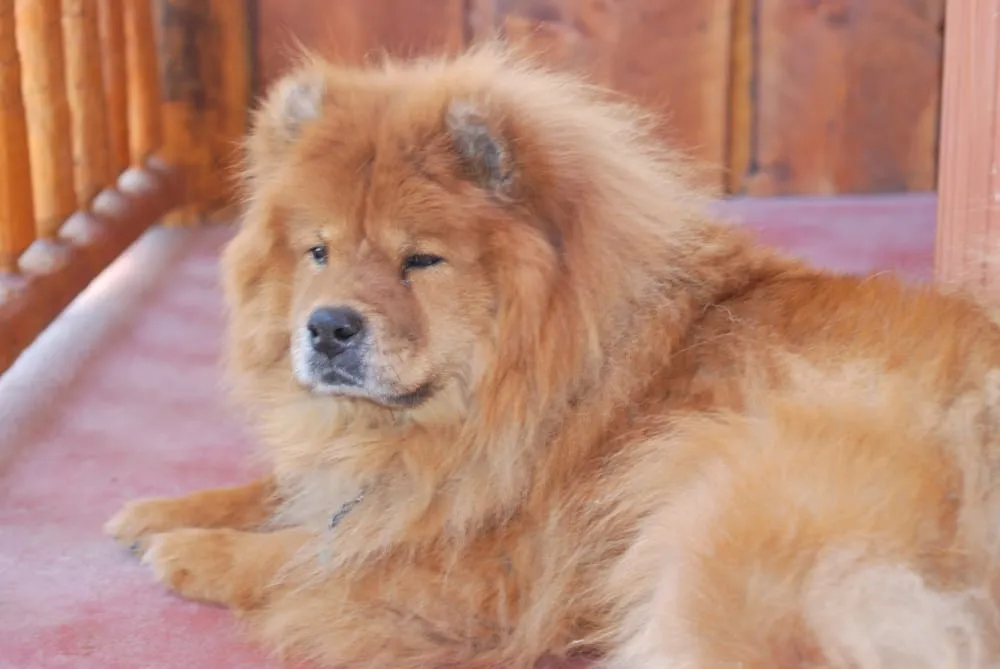 Slide of Tingey Plumbing & Heating