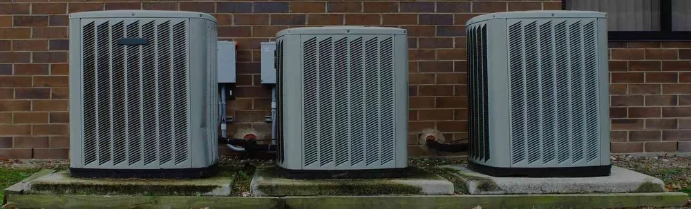 Slide of TL Services