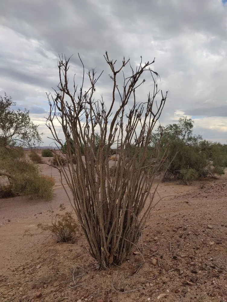 Slide of T.L.C. Air Conditioning And Heating