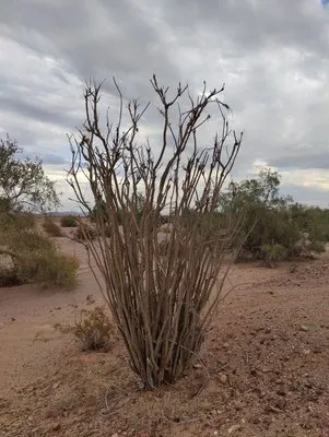 T.L.C. Air Conditioning And Heating