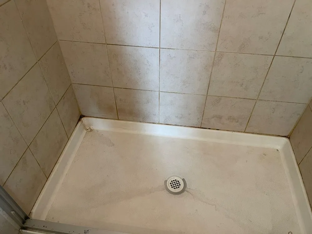 Slide of TLC Building Services