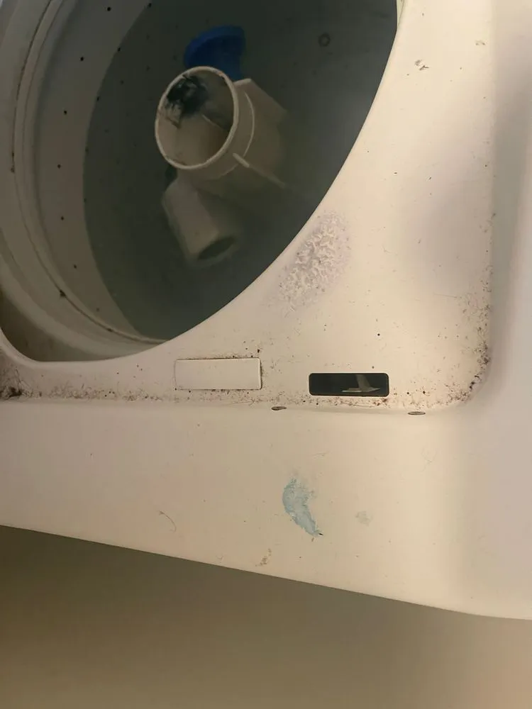 Slide of TLC Building Services