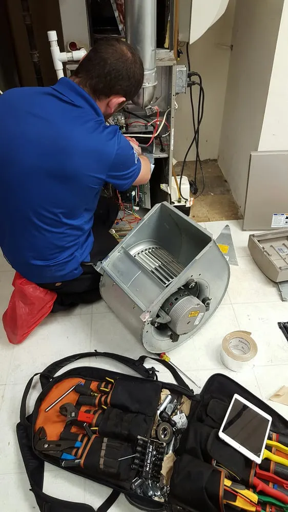 Slide of TLC Services