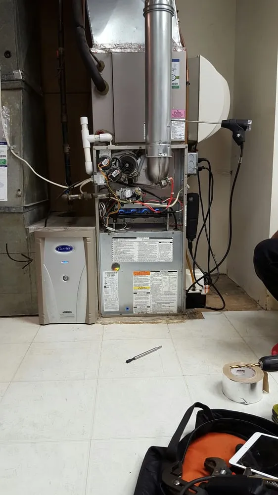 Slide of TLC Services