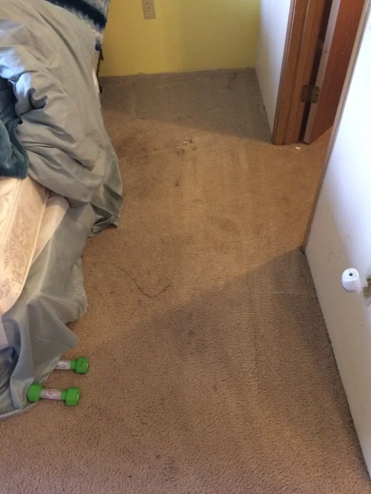 Slide of TM Carpet & Air Duct Cleaning